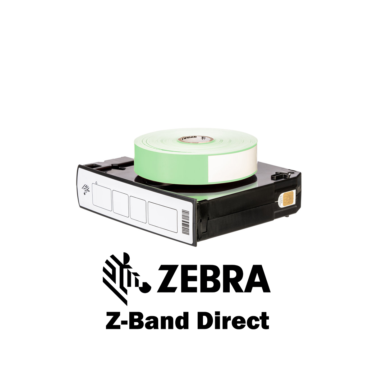 10006995-3K - Braccialetti Zebra Verde Z-Band Direct Polipropilene 