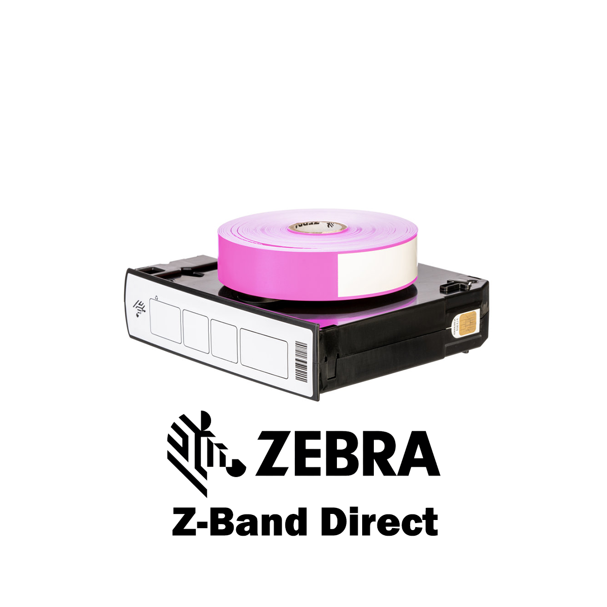 10006995-4K - Braccialetti Zebra Viola Z-Band Direct Polipropilene 