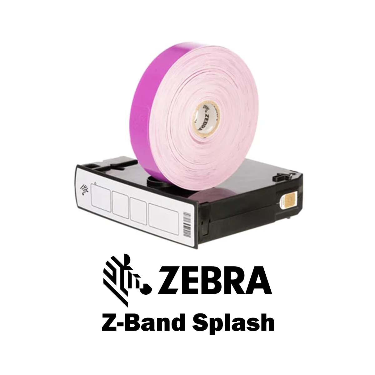10012717-7K - Braccialetti Zebra Viola Z-Band Splash Polipropilene 